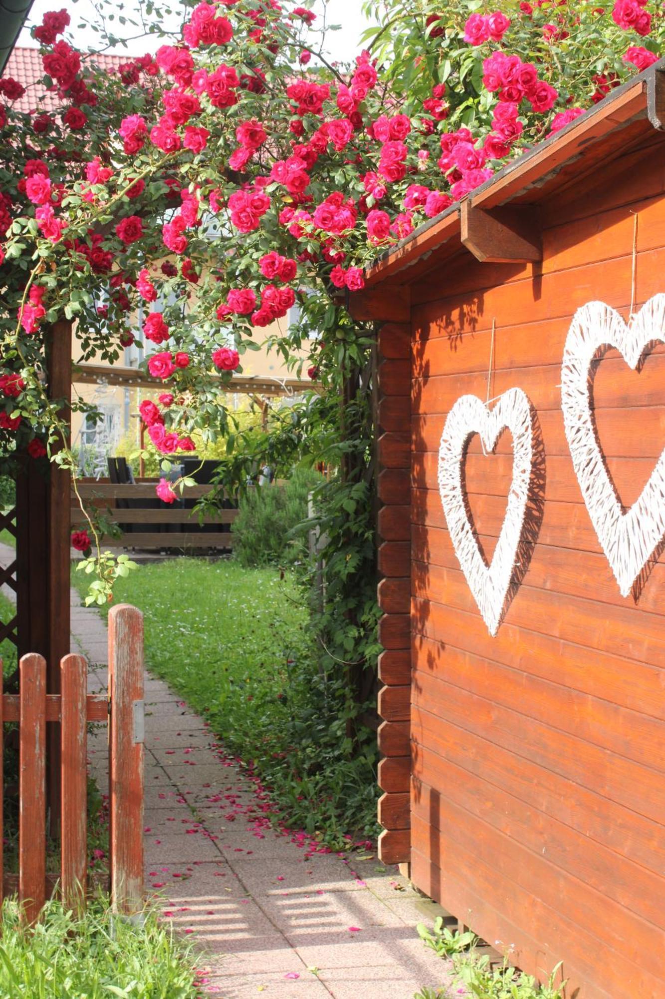 Apartmenthaus Wertheim Exterior foto